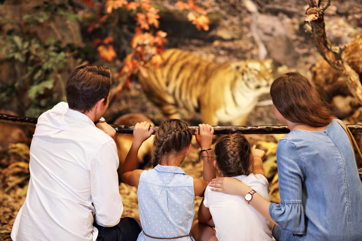 10 Fun Weekend Activities the Whole Family Will Love